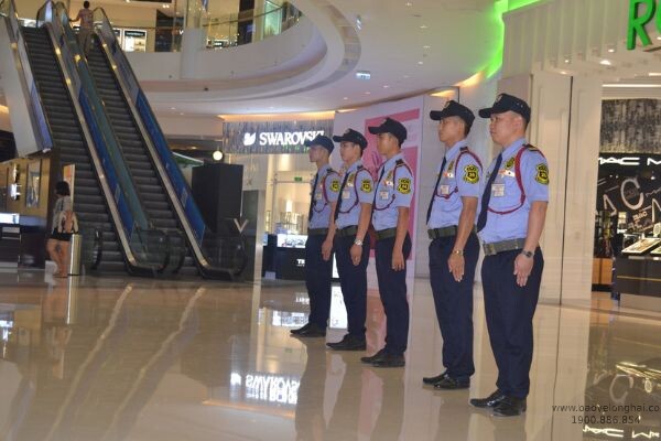 Công ty đang làm nhiệm vụ